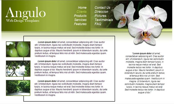 Orchids Template